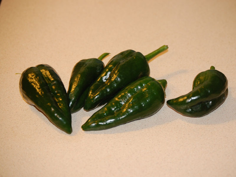 poblanos.jpg