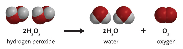 hydrogen_peroxide_decomposition.jpg