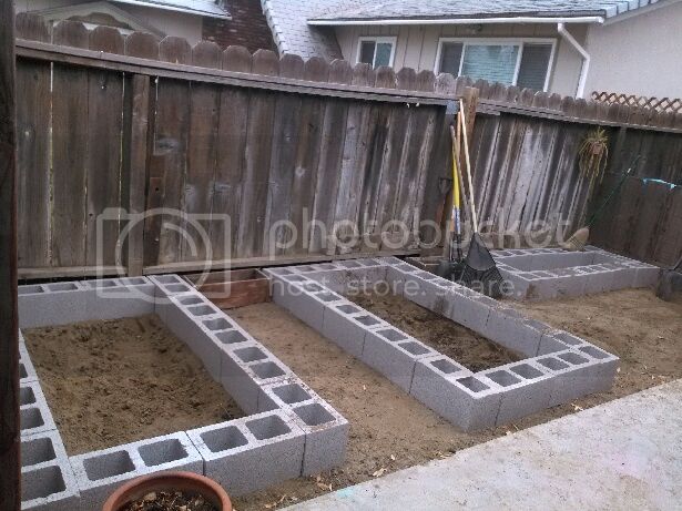 Keen's 2014 garden and pepper raised beds