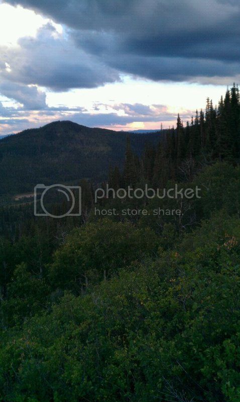 BeaverCreekTrailview.jpg