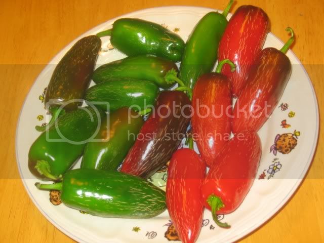 hotpeppers005.jpg