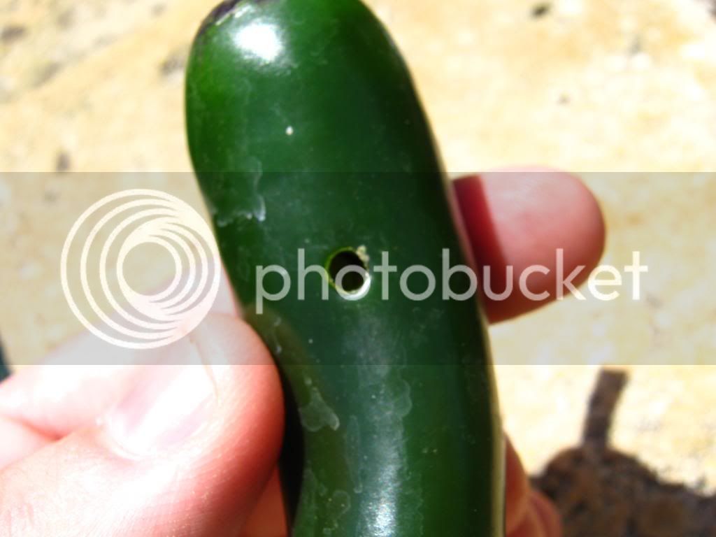 chilliprogress013.jpg