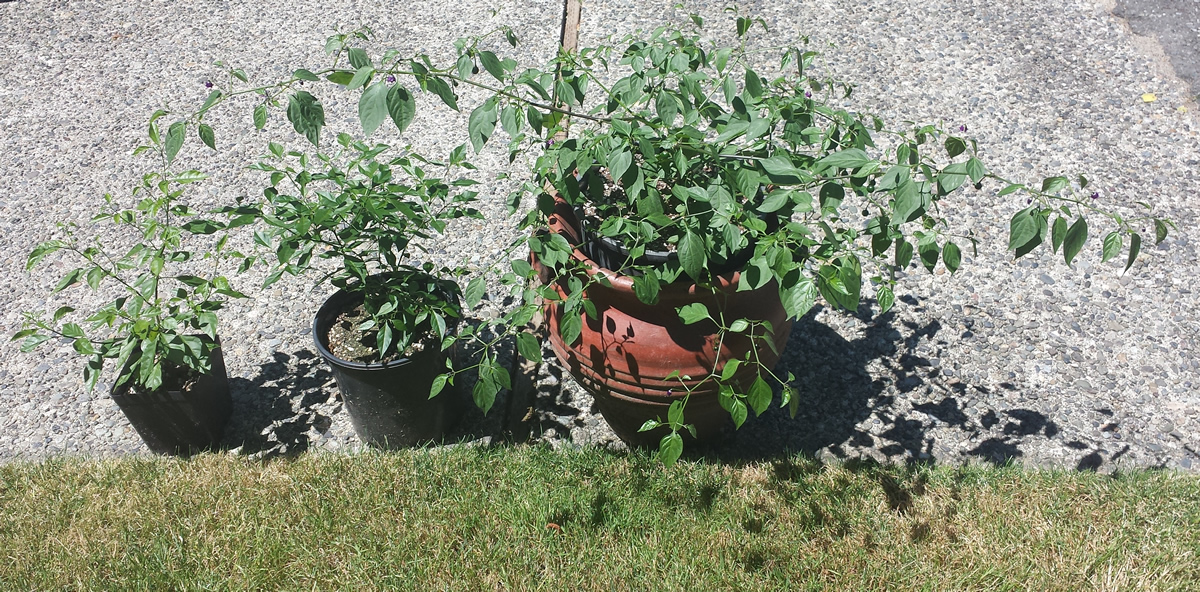 20190626%20OutFront.jpg