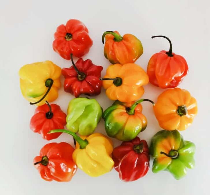 spicytrio.com