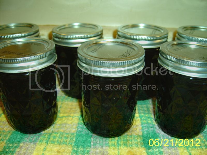 BlueberryLimeJam6-20-12.jpg