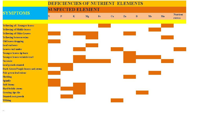 nutrients2.JPG