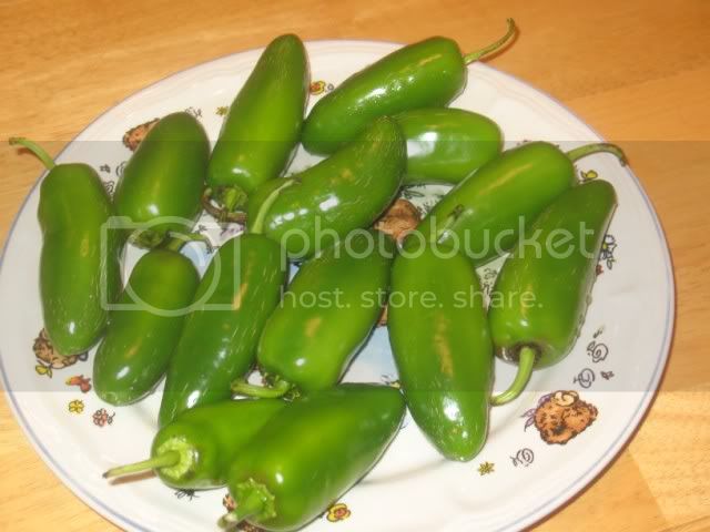 hotpeppers002.jpg