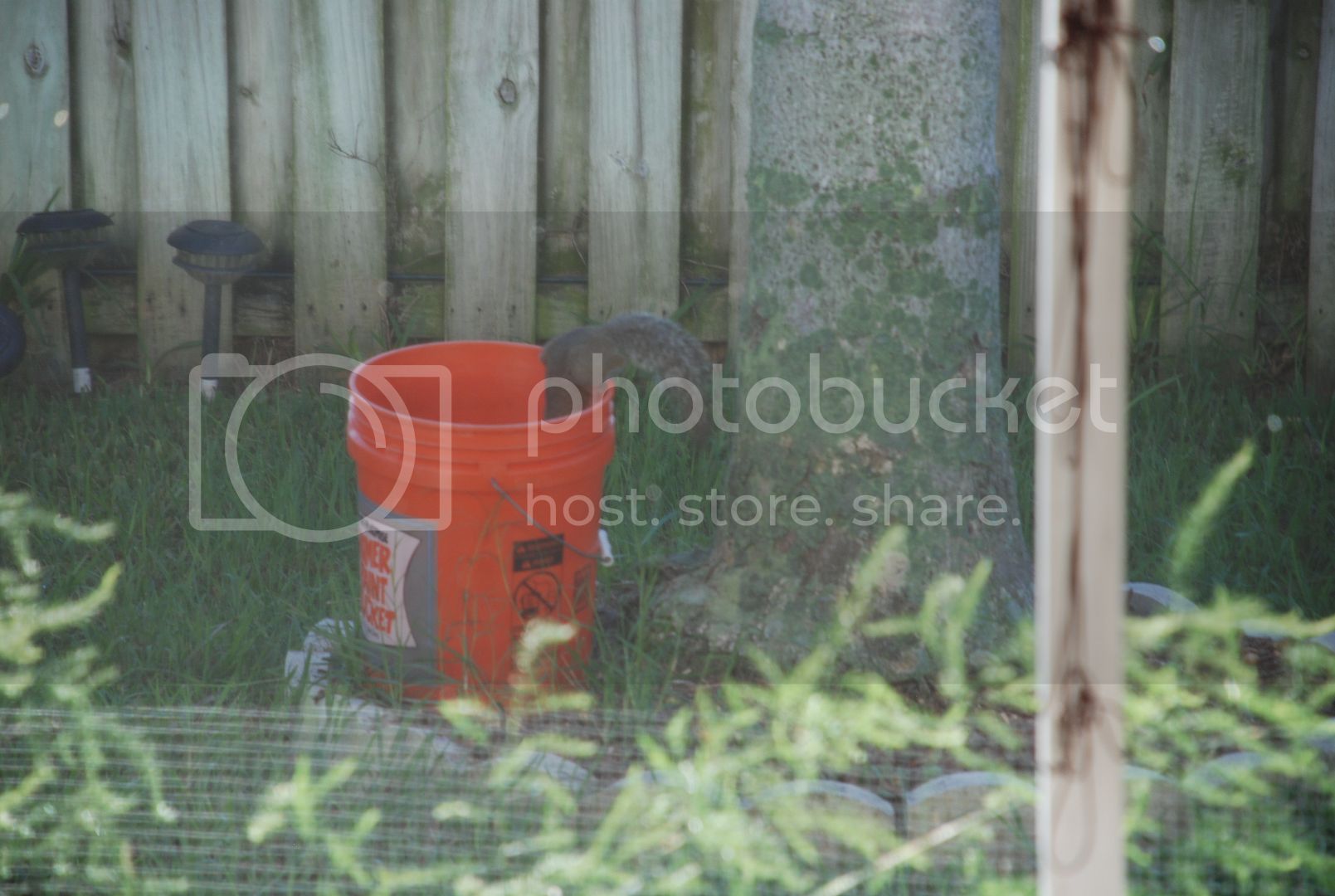 DSC_9239_zpse9f43bbd.jpg