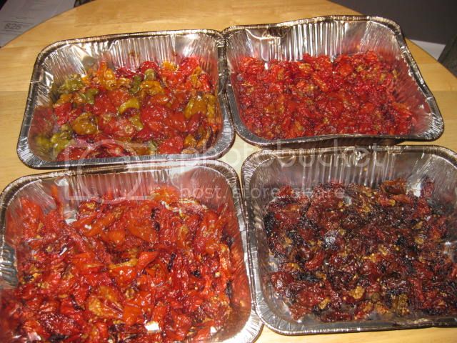 smokerpeppers020.jpg