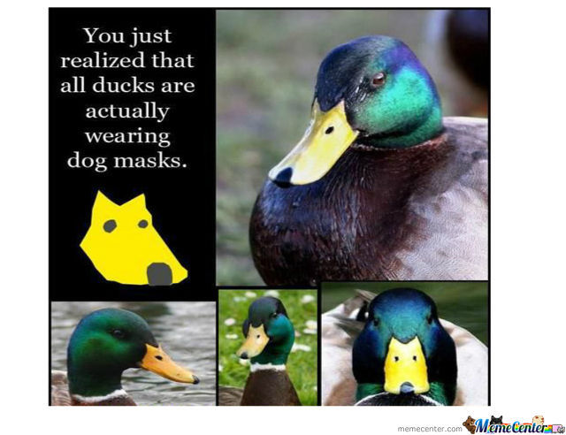 duck-dog-mask_o_545758.jpg