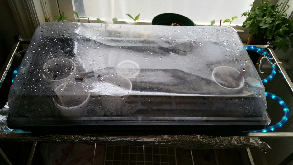 AdamStl's 2015 Glog (from a Cheapskate)