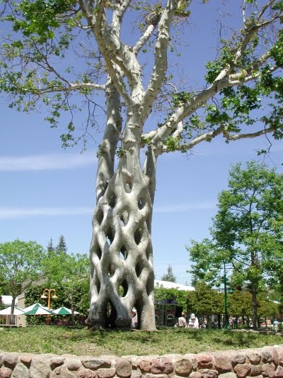 Tree_400.jpg