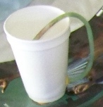 pichur042.jpg