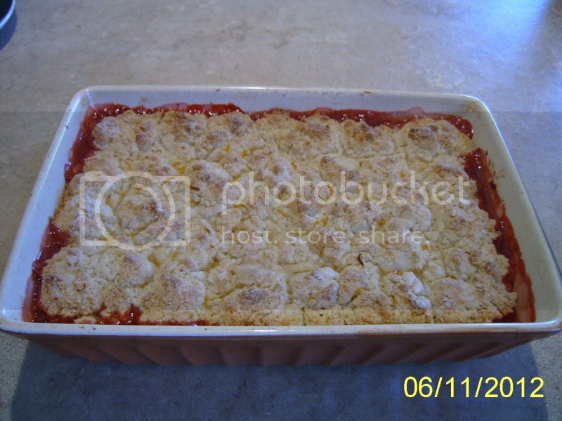 StrawberryRhubarbCobbler6-11-12.jpg