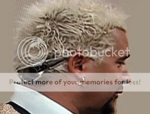 guy-fieri-hgtv_zpsjcixtdgd.jpg