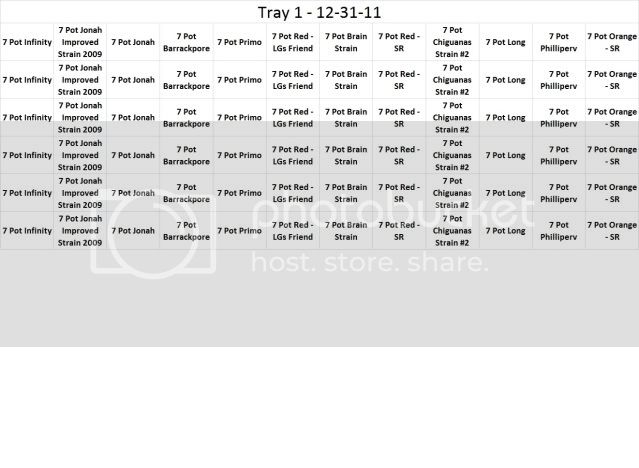 Tray1-12-31-11.jpg