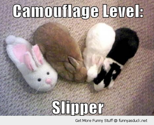 funny-camouflage-rabbit-slipper-bunnies-pics.png