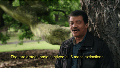 Wf30Imh.gif