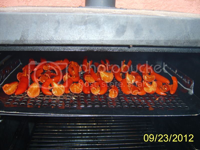 CostenoRojosinthesmoker_zpsd6603837.jpg