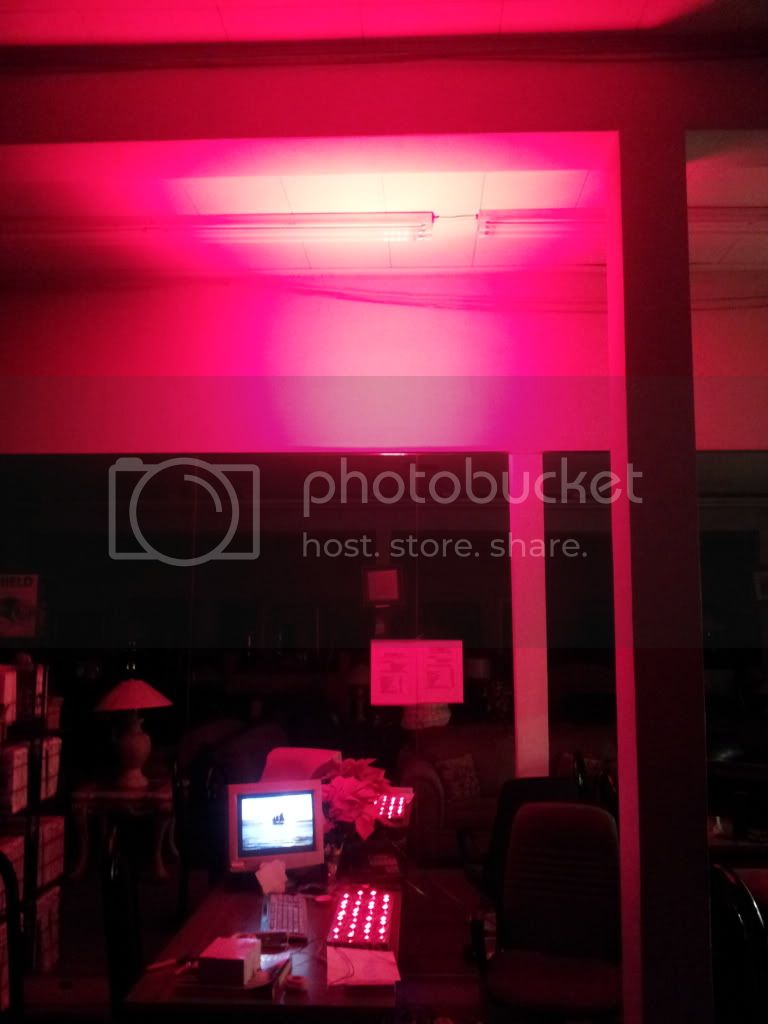 20120104_192823.jpg