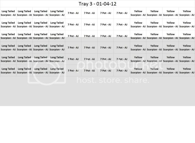 Tray3-01-04-12.jpg