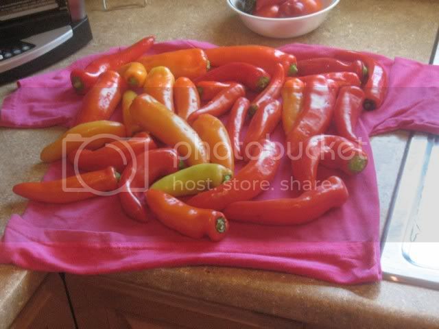 hotpeppers004.jpg