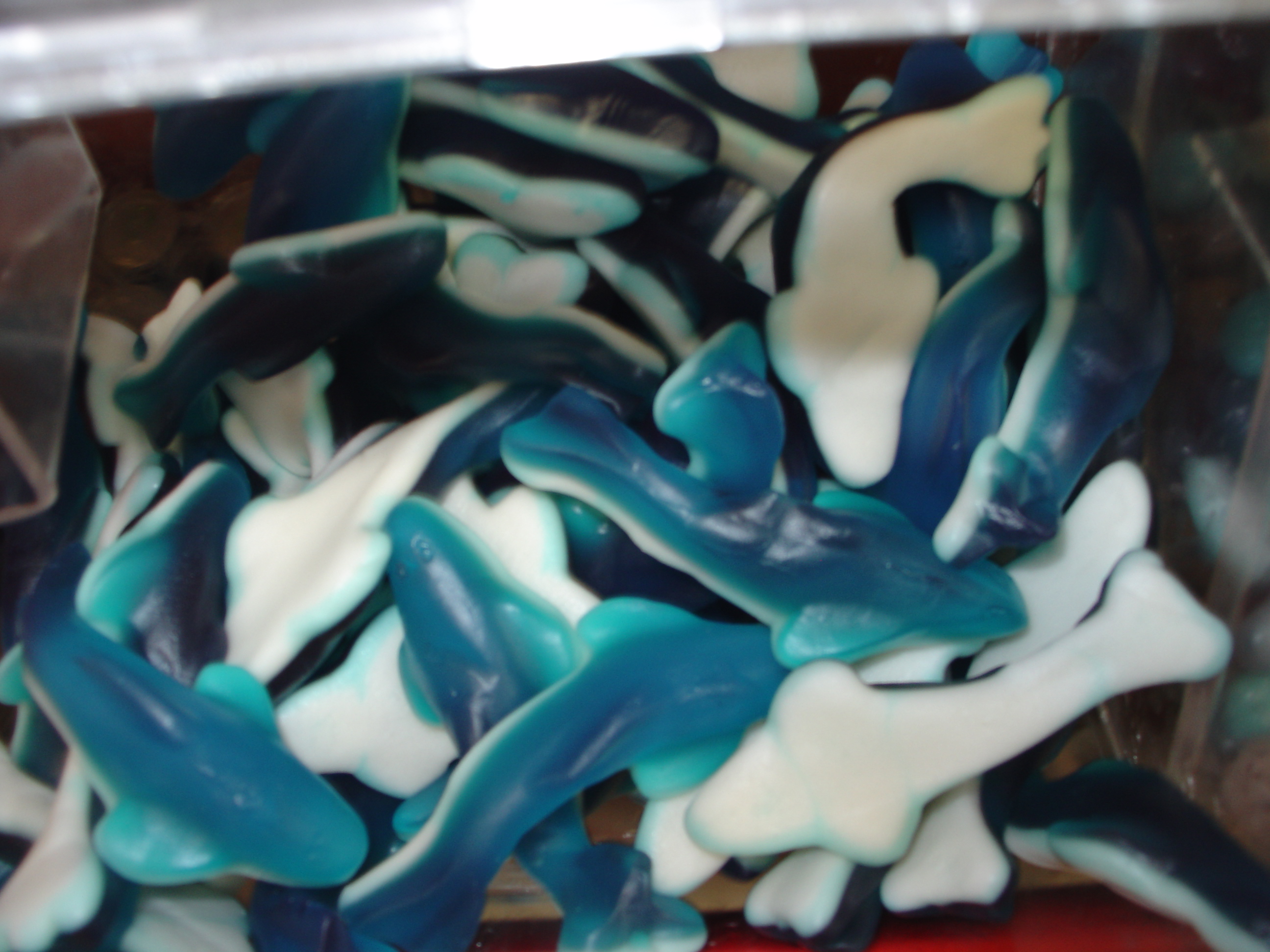 Gummy_sharks.jpg