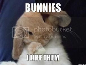 bunnies-i-like-them-thumb_zps72efaa6c.jpg
