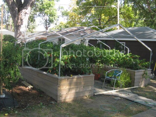 greenhouse010.jpg