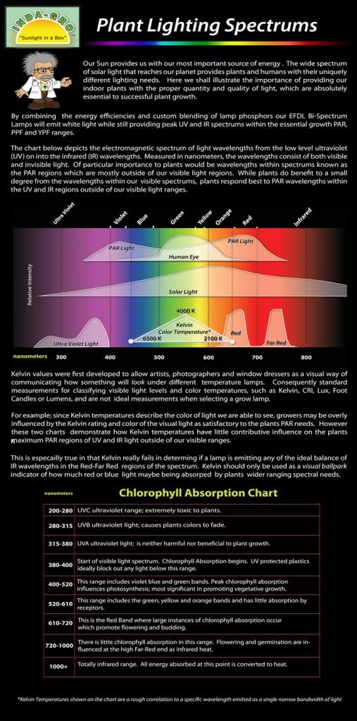 plant-lighting-spectrum.jpg