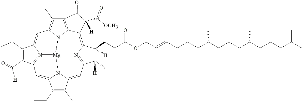 chlorophyll-b_01.gif