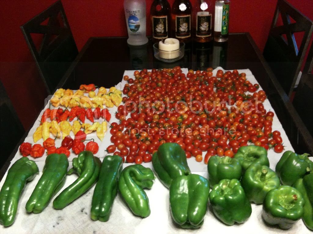 firstpickings2011.jpg