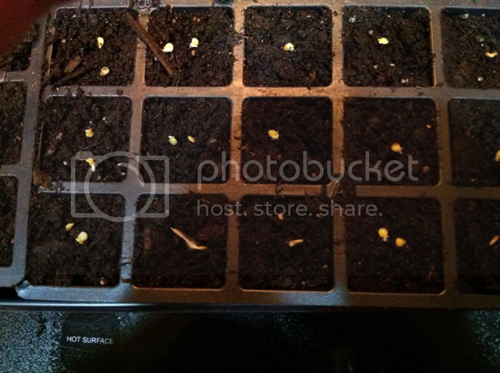 5f81ecd6.jpg