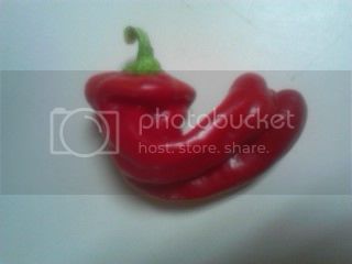 pepper.jpg