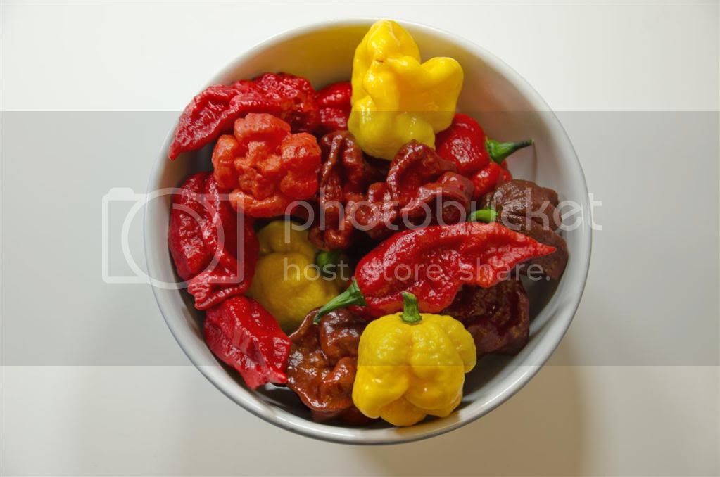 peppers2Medium.jpg