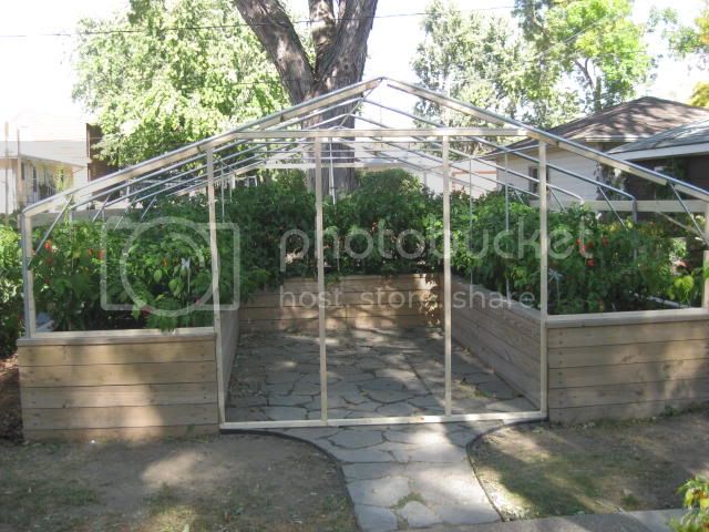 greenhouse002.jpg