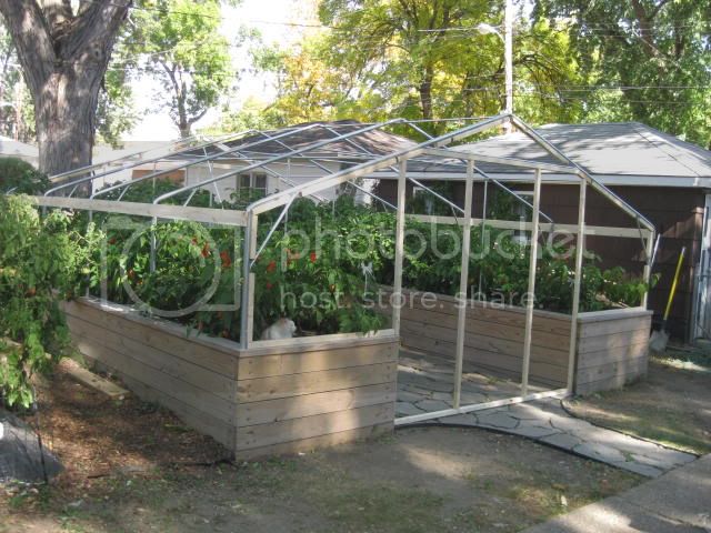 greenhouse003.jpg