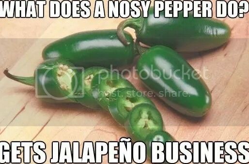 what-does-a-nosy-pepper-do-1_zps8pwkf2ze.jpg
