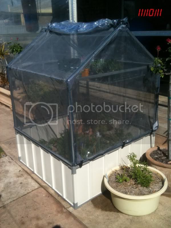 greenhouse.jpg