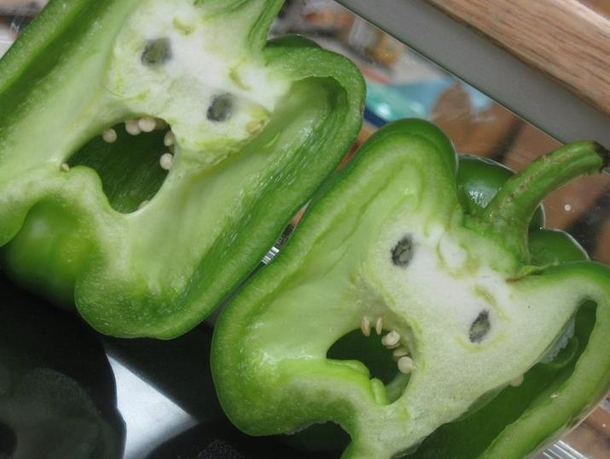 think-of-these-terrified-faces-next-time-you-cut-into-a-pepper-63644.jpg