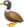 duck-icon.png