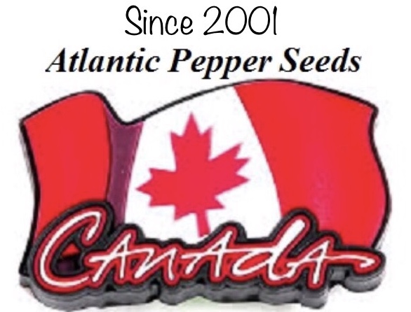 pepperseeds.ca