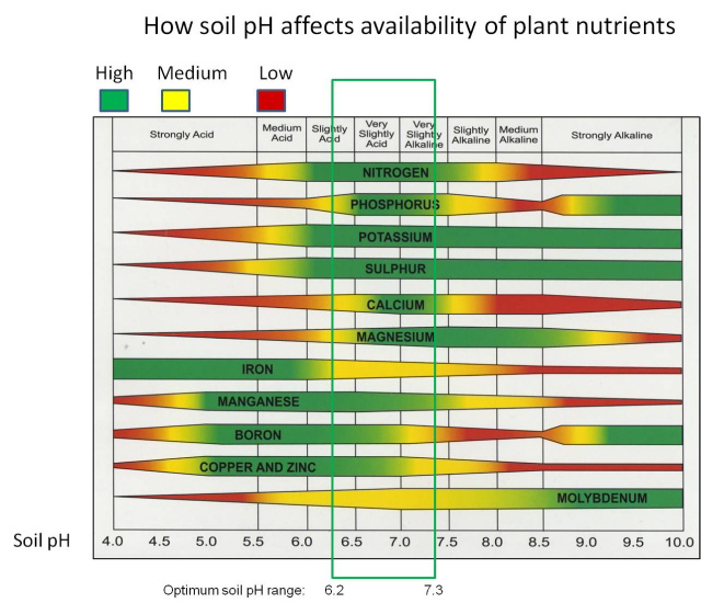 Soil-pH-Nutrient-Availability.jpg