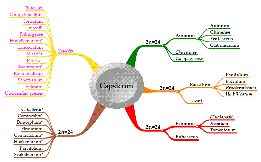 Capsicum_species.gif