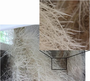 New_Dry_Fog_Aeroponics_System.jpg