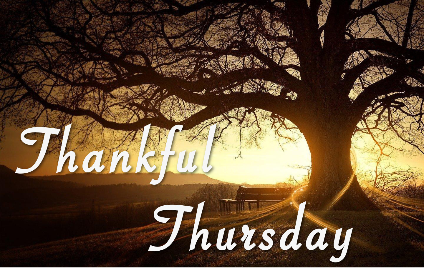 Thankful-Thursday.jpg