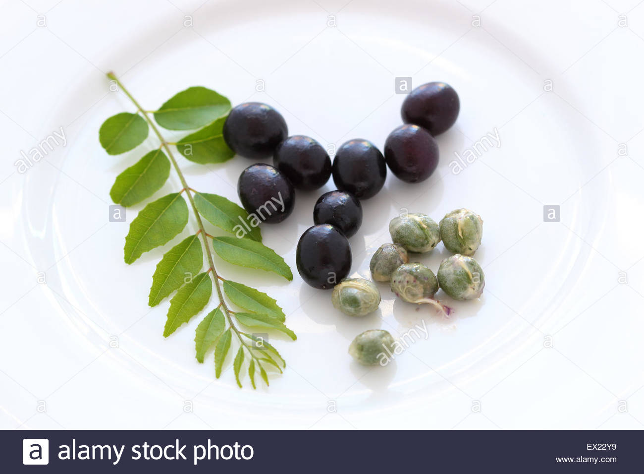 curry-leaves-or-known-as-murraya-koenigii-with-seeds-on-white-plate-EX22Y9.jpg