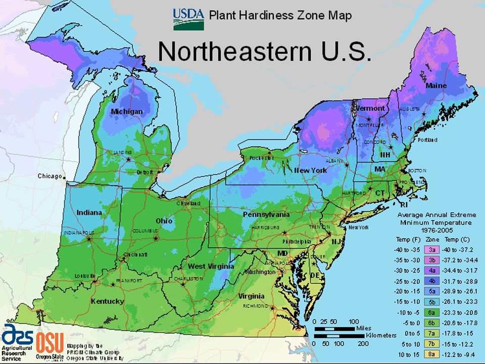 zone-map-north-east-big-5692a5b83df78cafda81dd81.jpg